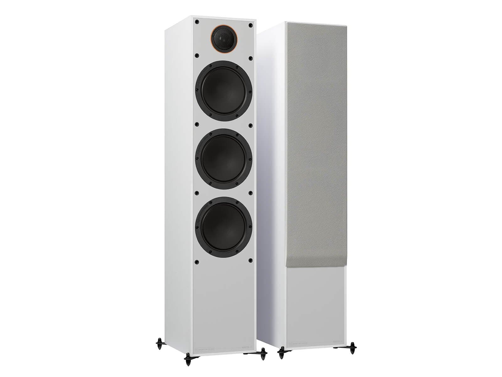 monitor 300 white_ab50ee83-5edf-49a8-9b36-b14723965d9b_thumbnail-1757188160207