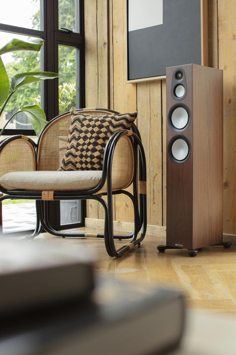 акустична система silver 300 (7g) natural walnut_5c6f5c27-4487-453b-b434-7481842627ad_image-1757188160637